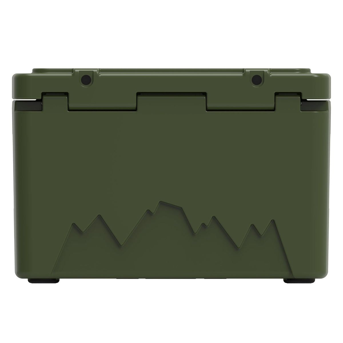 Back of the olive green hard cooler showing the lid hinges and a mountain graphic