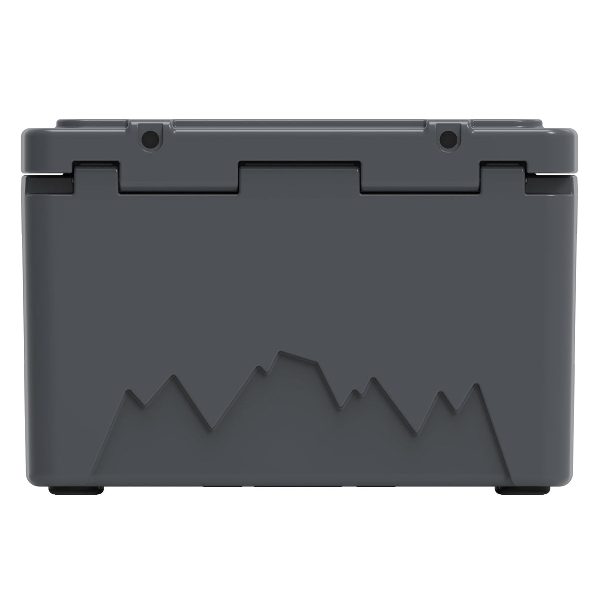 Back of the charcoal gray hard cooler showing the lid hinges and a mountain graphic