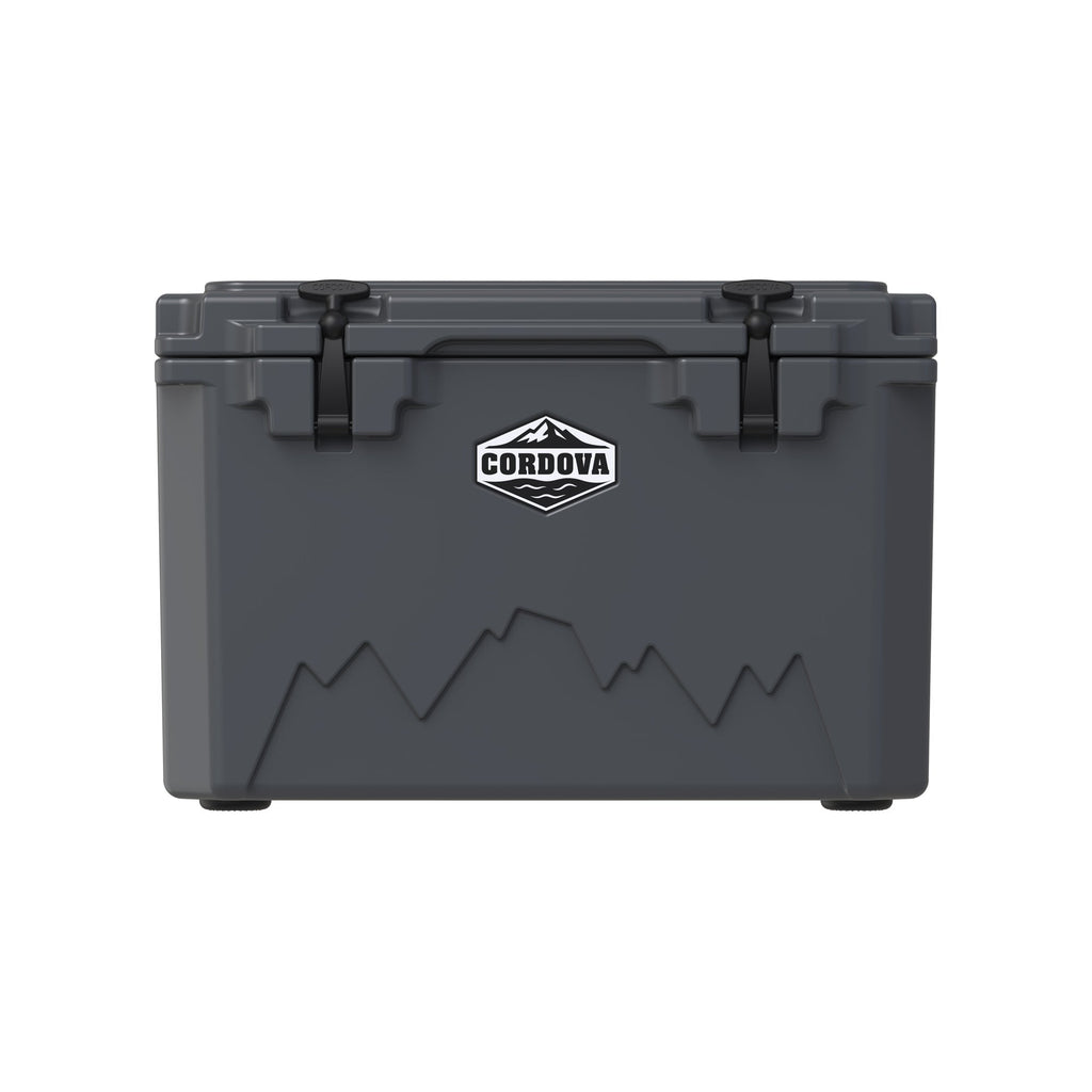 Charcoal gray 45 qt hard cooler from the front, shown smaller on white