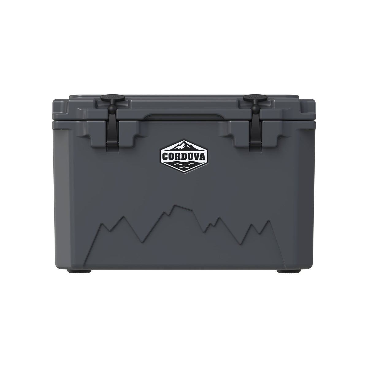 Charcoal gray 45 qt hard cooler from the front, shown smaller on white