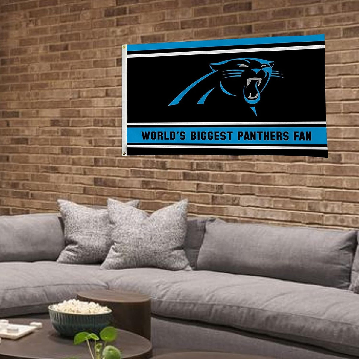 Carolina Panthers 3x5 Flag, World's Biggest Fan