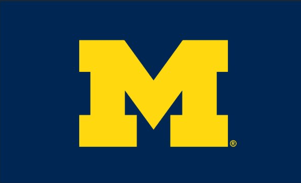 Michigan Wolverines Flag